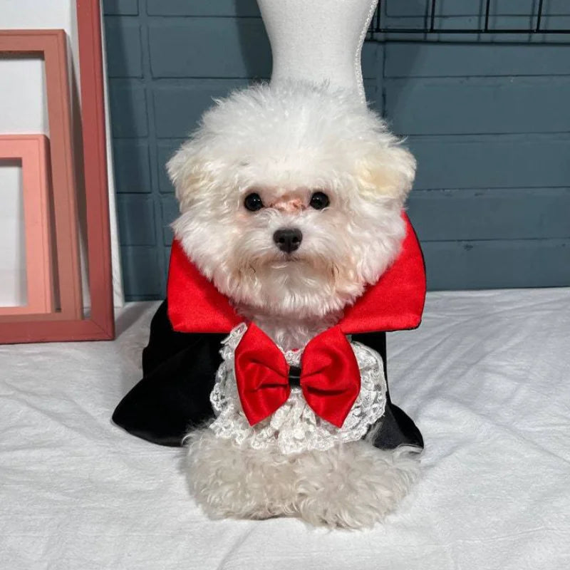 Vampire Cape for Dogs – Red & Black Halloween Pet Costume for Small & Medium Dogs, S–XXL