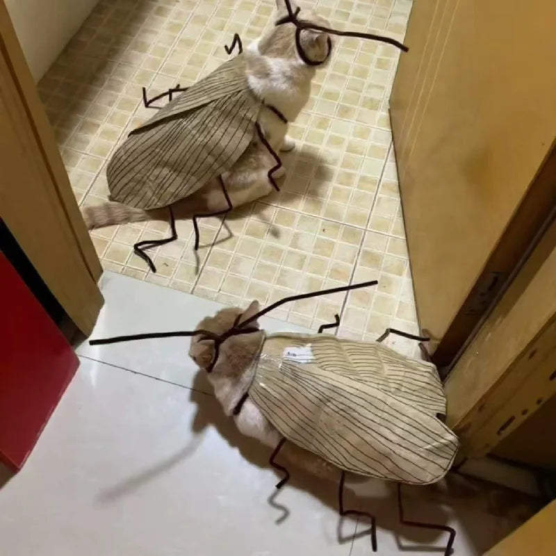 Funny Roach Costume for Cats, Soft Pet Cosplay Outfit, Insect Style Halloween Party Clothes for Kitten, Cute Viral Photo Prop