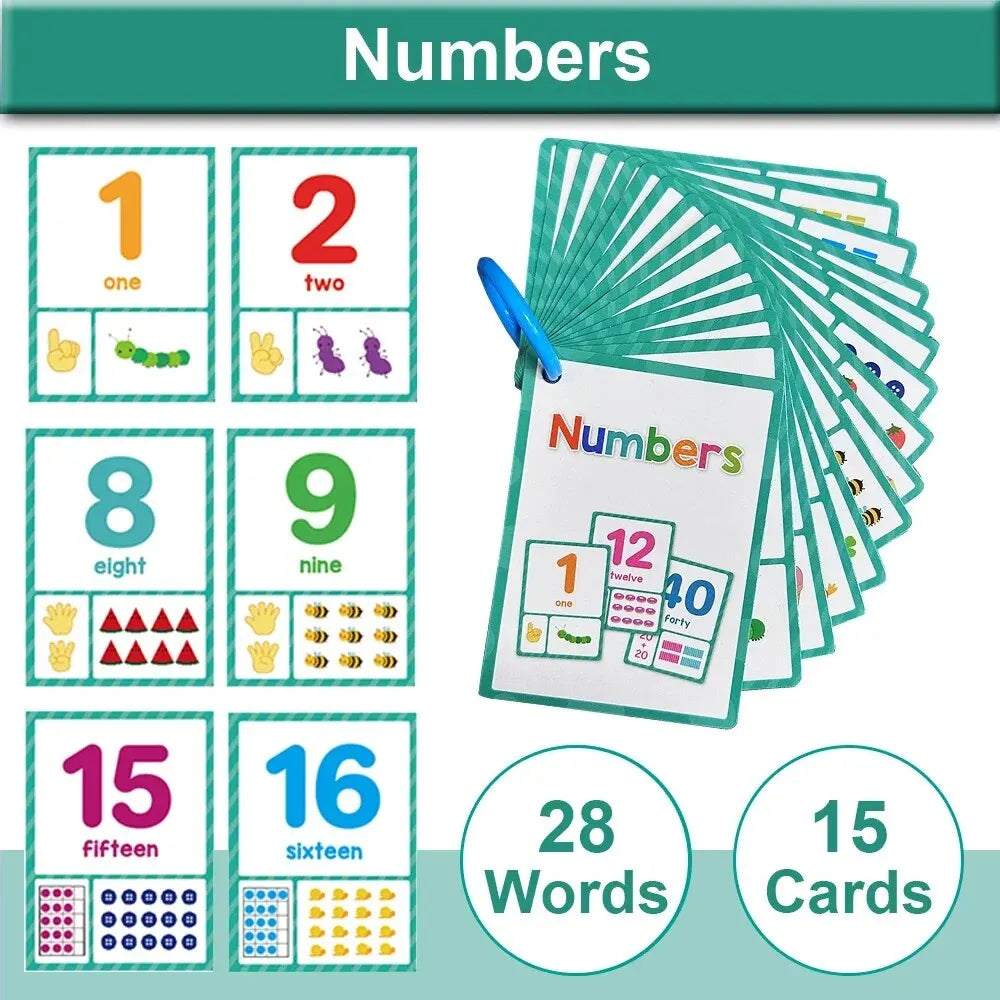 Montessori Kids Learning English Words Cards Kindergarten Teacher Early Education Teaching Aids Vocabulary Classroom Supplies