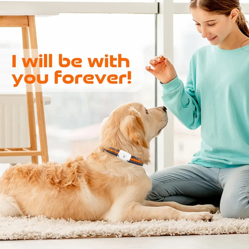 Pet GPS AGPS Tracking Device 4G Pet GPS Tracker Collar SOS Geofence Historical Track Health Data Monitoring for Cats and Dogs