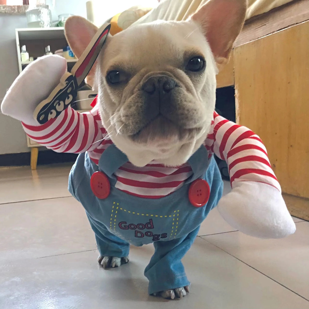 Red Funny Pet Costume – Halloween Outfit for Small & Medium Dogs & Cats, XS–XL