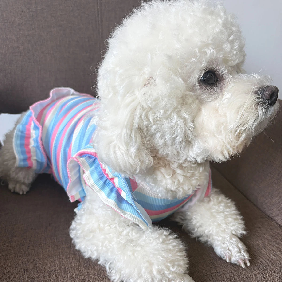 Rainbow Flower Small Dog Dress Cute Cat Clothes Summer Cooling Dog Clothes for Small Dog Vest Spring Soft Cat Dress Pet Clothes