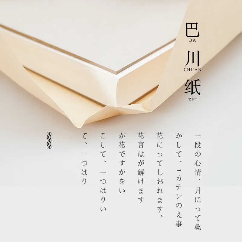 A4 A5 Tomoe River Paper 50 Sheets High Sheen Color Ink Friendly Drawing Paper Thin Layer Analysis Special Art Paper Art Supplies