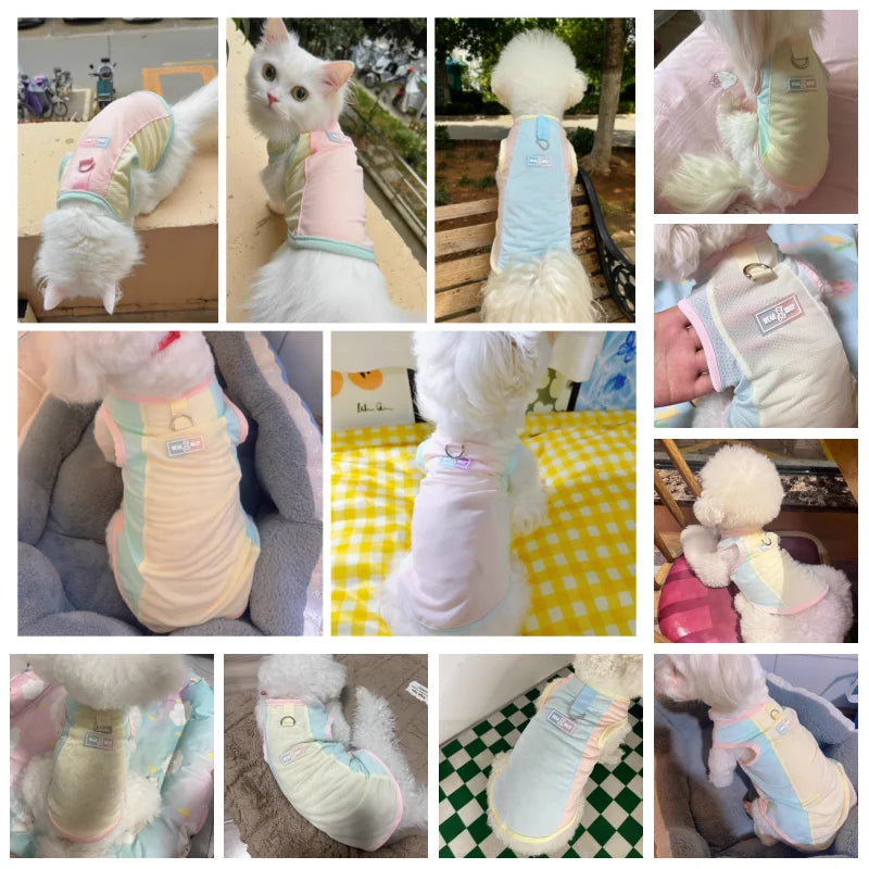 Dog Summer Vest Girls Dog Costume Fashion Dog Cooling Clothes Chihuahua Bichon Yorkie Puppy T Shirts New Mesh Sunscreen Clothing