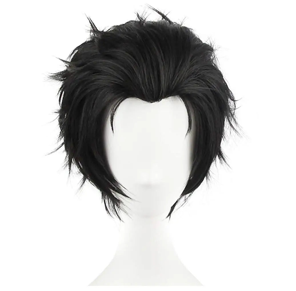 Short Straight Cosplay Wig Halloween Costume Wig Party Costume Men Boy Black Anime Wigs cosplay costumes