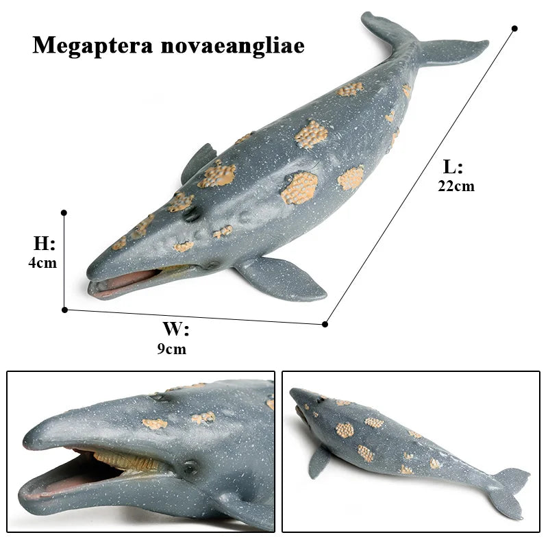 Oenux Ocean Animals Action Figures Sealife Shark Whare Megalodon Model Figurines PVC Home Decoration Kid Cognitive Education Toy