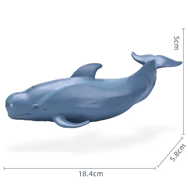 14-22CM Ocean Animals Action Figures Sealife Shark Whare Megalodon Models Figurines PVC Home Decoration Kids Education Toys Gift