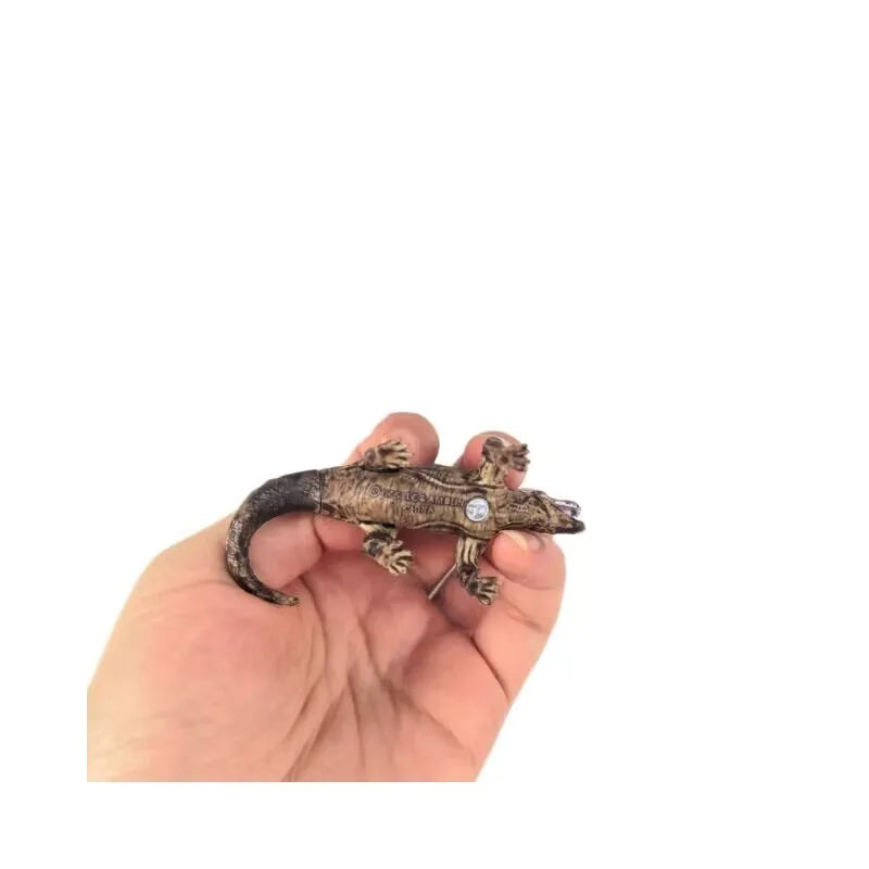 5pcs Simulation Magic Dragon Dinosaurs Archaeopteryx PVC Solid Action Figure Toy Doll Model Decoration Kid Adult Gift