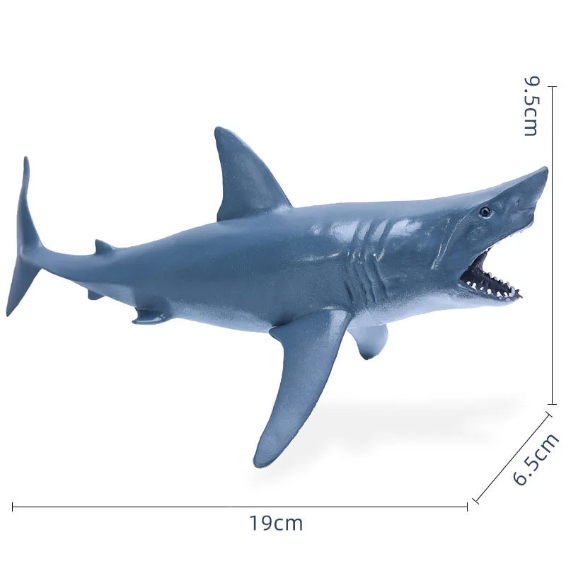 14-22CM Ocean Animals Action Figures Sealife Shark Whare Megalodon Models Figurines PVC Home Decoration Kids Education Toys Gift
