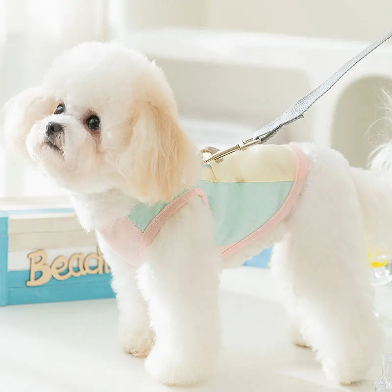 Summer Pet Dog Cooling Vest Ice Silk Breathable Quick Drying Small Dog Clothes Summer Mesh Vest Puppy Chihuahua Pet Clothing
