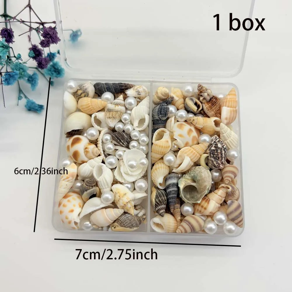 1/2 Boxs Natural Mixed Seashells Ocean Pearls Seashells Beach Decor Crafts for Arts & Crafts Projects Home Decor