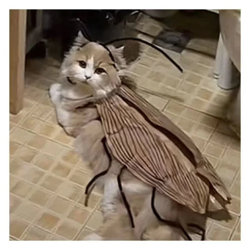 Funny Roach Costume for Cats, Soft Pet Cosplay Outfit, Insect Style Halloween Party Clothes for Kitten, Cute Viral Photo Prop