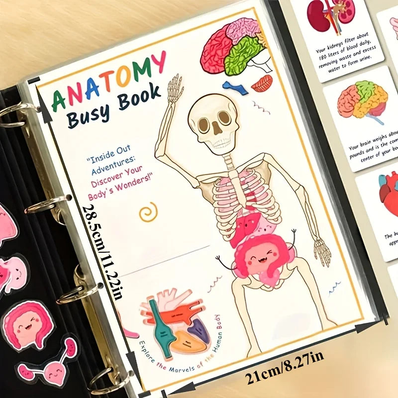 Interactive Human Anatomy Busy Book with Labeled Organs 500 Body Facts Educational Learning Activity Gift for Students