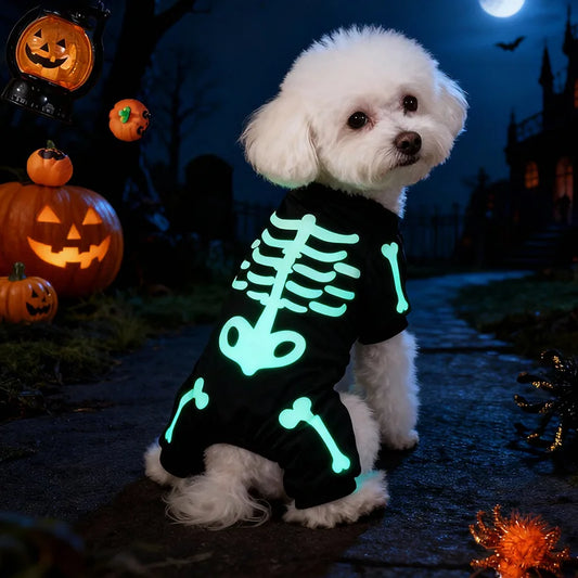 Glow-in-the-Dark Skeleton Dog Costume – Full Body Halloween Jumpsuit for Small Dogs, S–XL