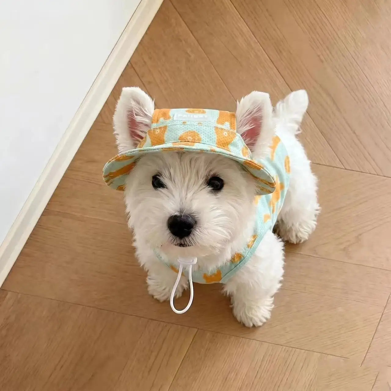 2Pcs Summer Dog Cooling Clothes Set - Cartoon Print Vest with Sun Hat, Breathable Sun Protection Lightweight Quick-Dry Pet Outfi