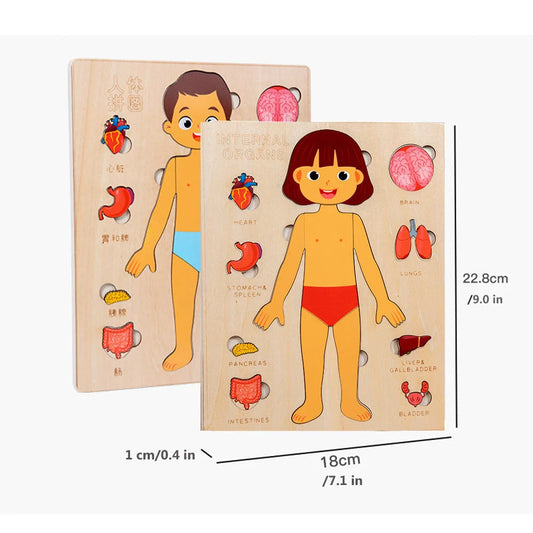 Montessori Puzzles Busy Board Human Body Teaching Learning Body Parts For Children Early Education Games Toddlers Quiet Books