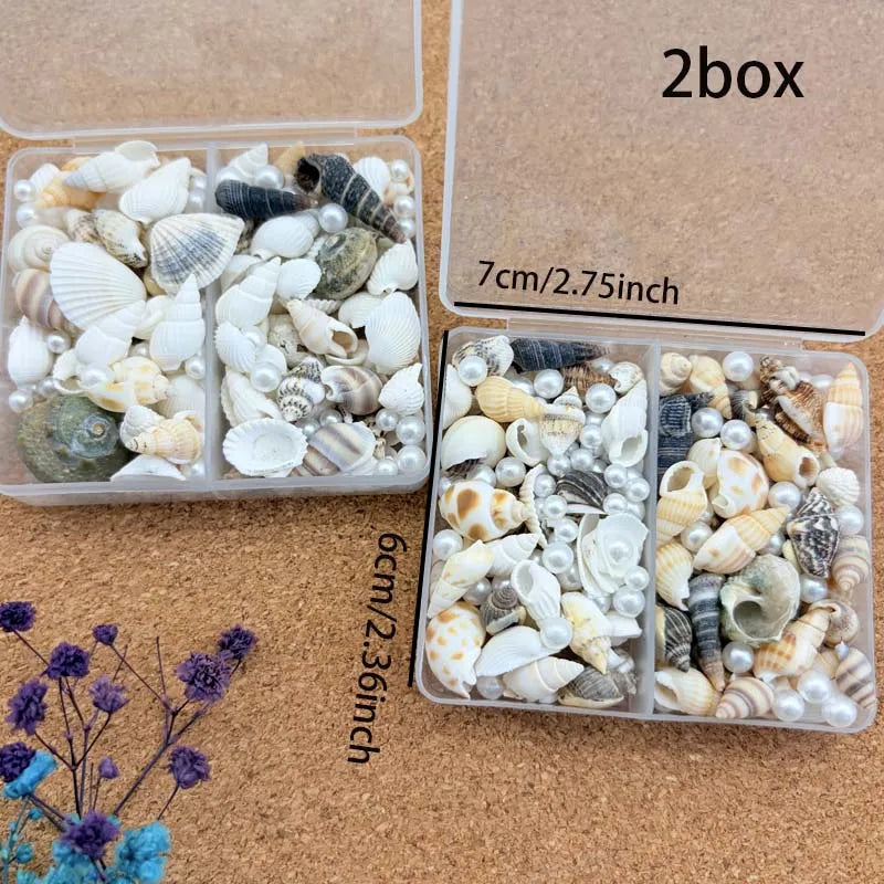 1/2 Boxs Natural Mixed Seashells Ocean Pearls Seashells Beach Decor Crafts for Arts & Crafts Projects Home Decor