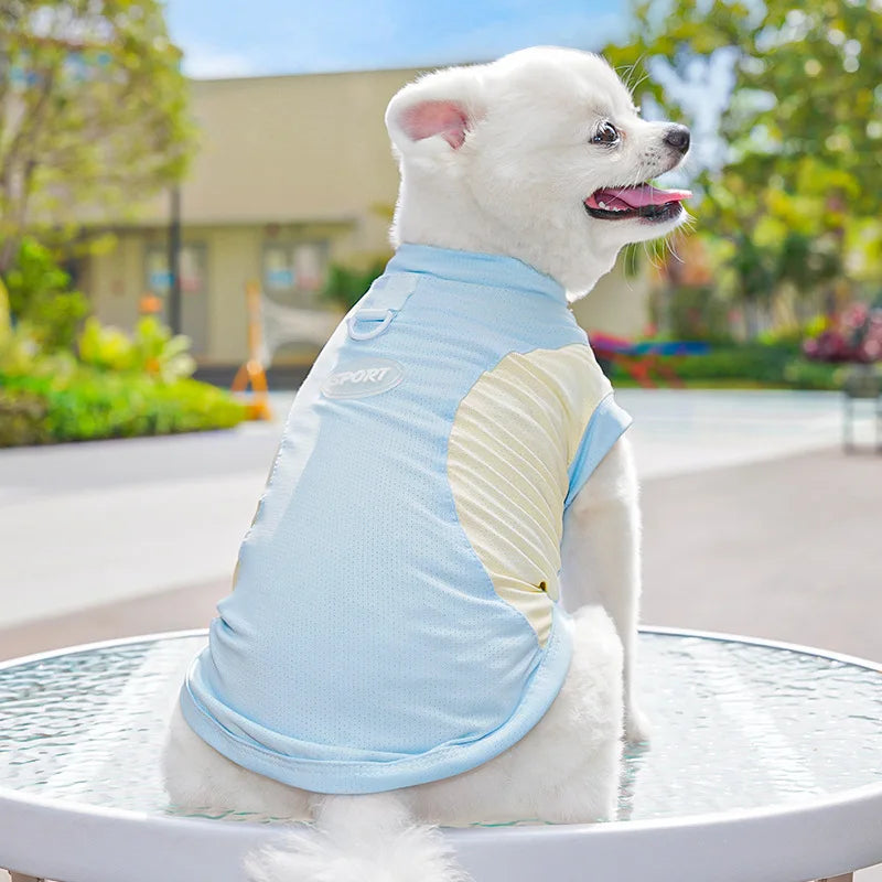 Summer Cooling Vest Thin Pet Dog Clothes Breathable Mesh Dog T Shirt Chihuahua Bichon Dog Clothing Cat Vests Puppy Undershirts