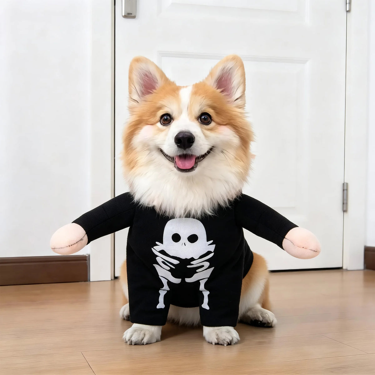 Cross-border pet clothing funny  transformation costume Halloween outfit