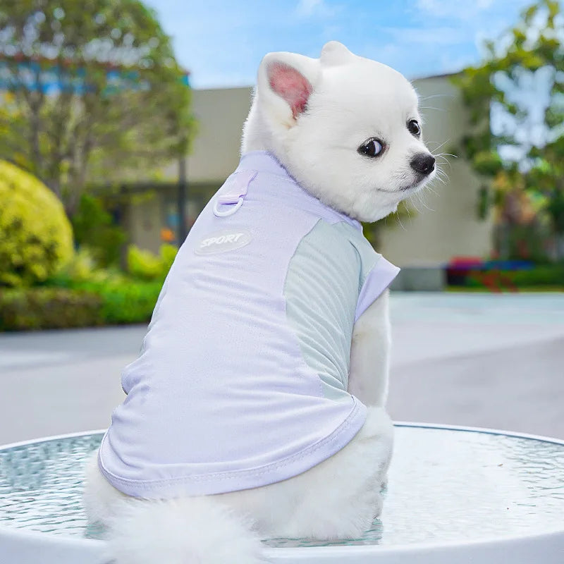 Summer Cooling Vest Thin Pet Dog Clothes Breathable Mesh Dog T Shirt Chihuahua Bichon Dog Clothing Cat Vests Puppy Undershirts
