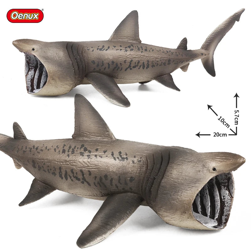 Oenux Ocean Animals Action Figures Sealife Shark Whare Megalodon Model Figurines PVC Home Decoration Kid Cognitive Education Toy