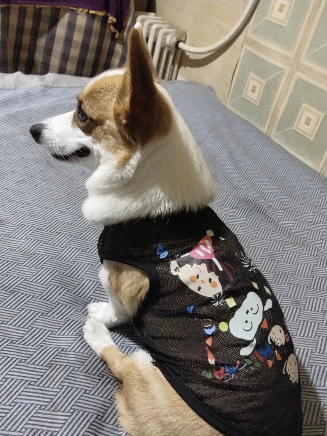 Cartoon Mesh Dog Vest Breathable Summer Pet Clothes for Small Dog Cat Chihuahua Yorkshire T-Shirt Puppy Sleeveless Cooling Shirt