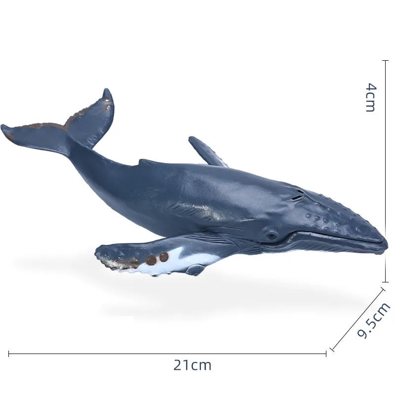 14-22CM Ocean Animals Action Figures Sealife Shark Whare Megalodon Models Figurines PVC Home Decoration Kids Education Toys Gift