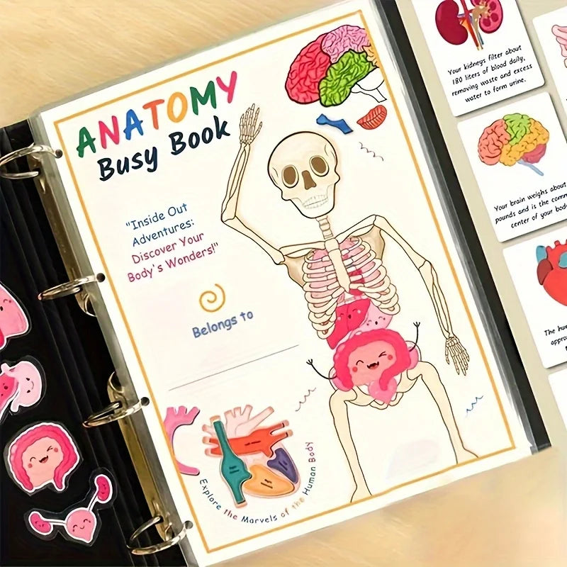 Interactive Human Anatomy Busy Book with Labeled Organs 500 Body Facts Educational Learning Activity Gift for Students