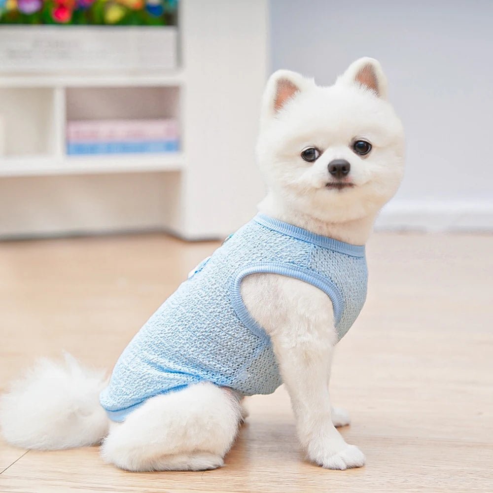 Cute Dog Cooling Vest Solid Breathable Mesh Thin Small Dog Summer Clothes  Bichon Medium Cat T Shirts Clothing Puppy Undershirt