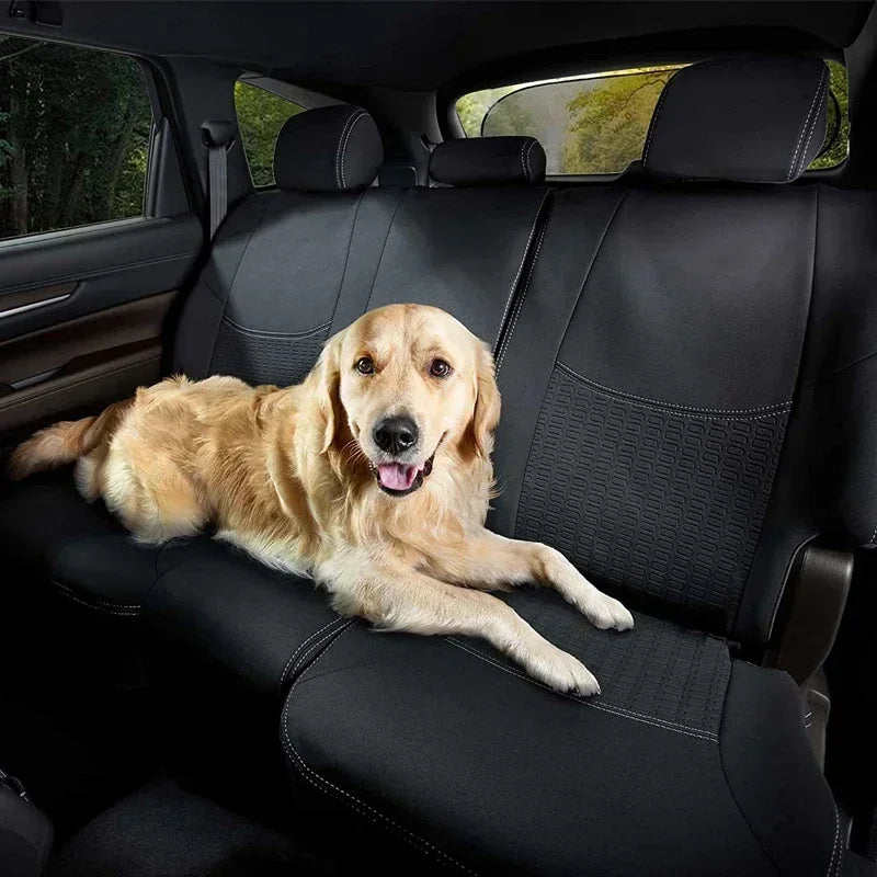 100x50cm UV Protection Folding Car Rear Window Sunshade - Universal Mesh Visor with Suction Cups, Summer Essential