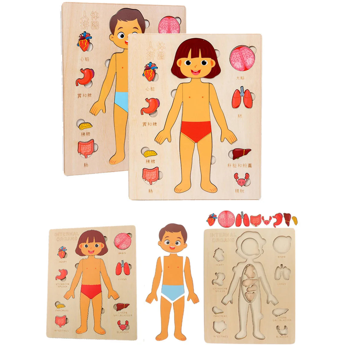 Montessori Puzzles Busy Board Human Body Teaching Learning Body Parts For Children Early Education Games Toddlers Quiet Books