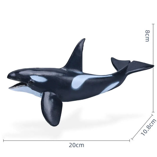 14-22CM Ocean Animals Action Figures Sealife Shark Whare Megalodon Models Figurines PVC Home Decoration Kids Education Toys Gift
