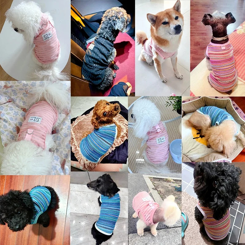 Summer Pet Vest for Small Medium Dog Cooling Clothes Chihuahua French Bulldog Breathable Clothes Puppy Casual Shirt Dog Costume