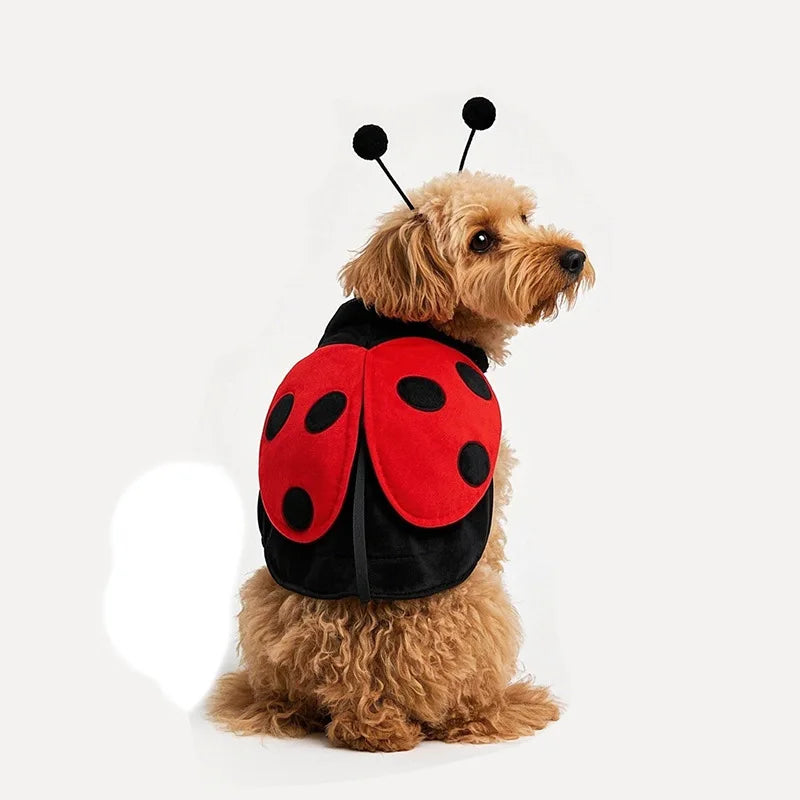 Ladybug Dog Costume Pet Halloween Outfit with Wings and Antennae
