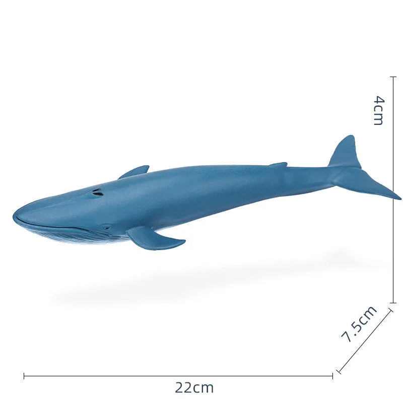 14-22CM Ocean Animals Action Figures Sealife Shark Whare Megalodon Models Figurines PVC Home Decoration Kids Education Toys Gift