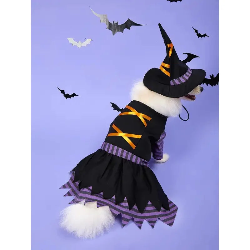 Pet Witch Costume with Hat – Black Halloween Dress for Dogs & Cats, S–XL