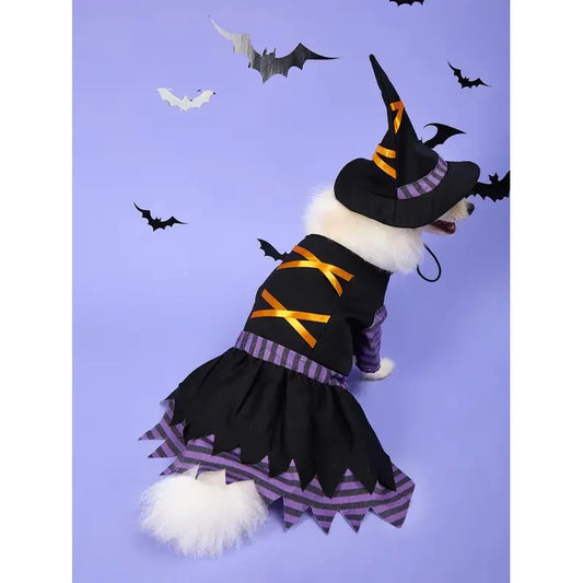 Pet Witch Costume with Hat – Black Halloween Dress for Dogs & Cats, S–XL
