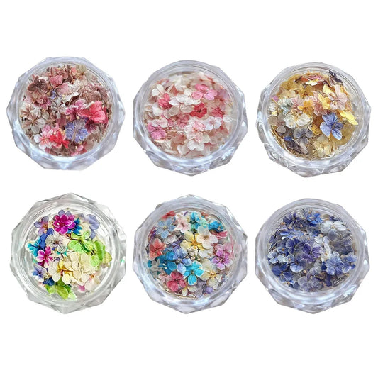 Dried Flower Materials For Nail Romantic Monet Garden Color Palette Vibrant Accessories Wildflower Nail Art Decorations Tools