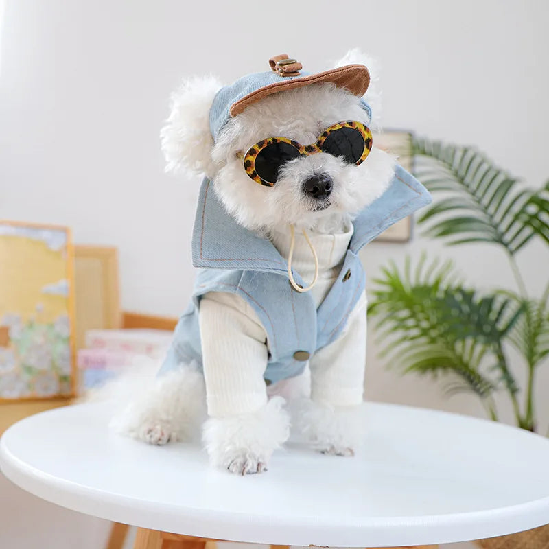Denim Cap For Dogs With Sunglass Pet Grooming Accessories Hat For Small Medium Puppy Animal Cat Dachshund Yorkshire Things Goods